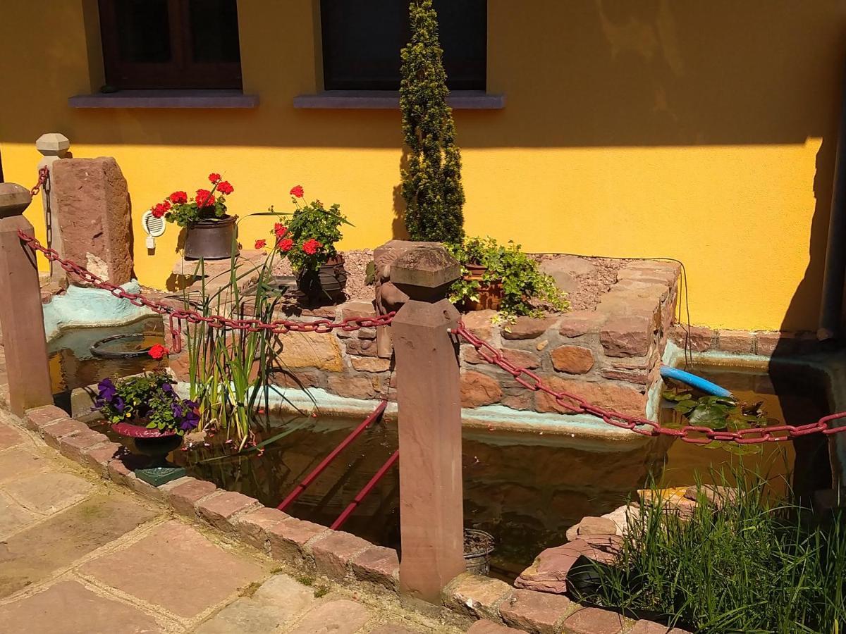Le Pelican Apartman Wittenheim Kültér fotó